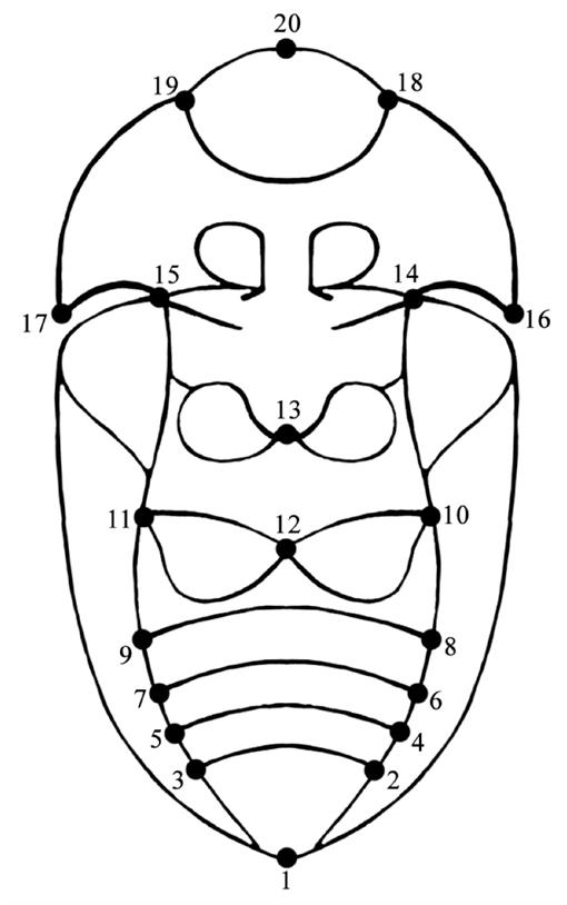 f02_01.jpg