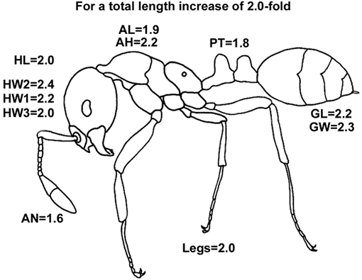 i1536-2442-3-2-1-f08.gif