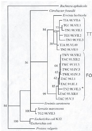 f01_01.eps