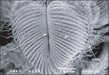 f06_01.eps