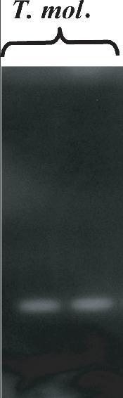 f01_01.eps