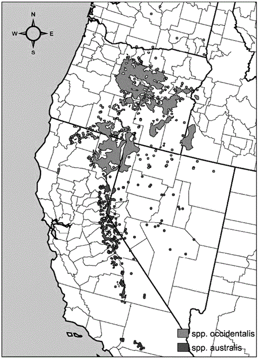 i1939-747x-1-1-3-f01.gif