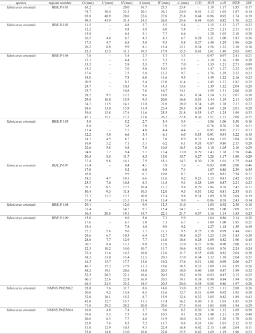 img-z19-2_24.gif