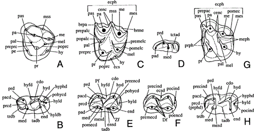 i1342-8144-7-3-219-f01.gif