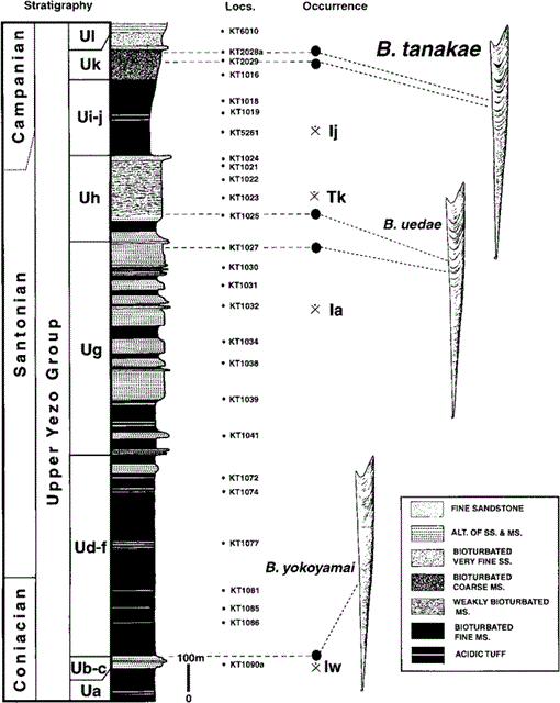 i1342-8144-7-3-245-f03.gif