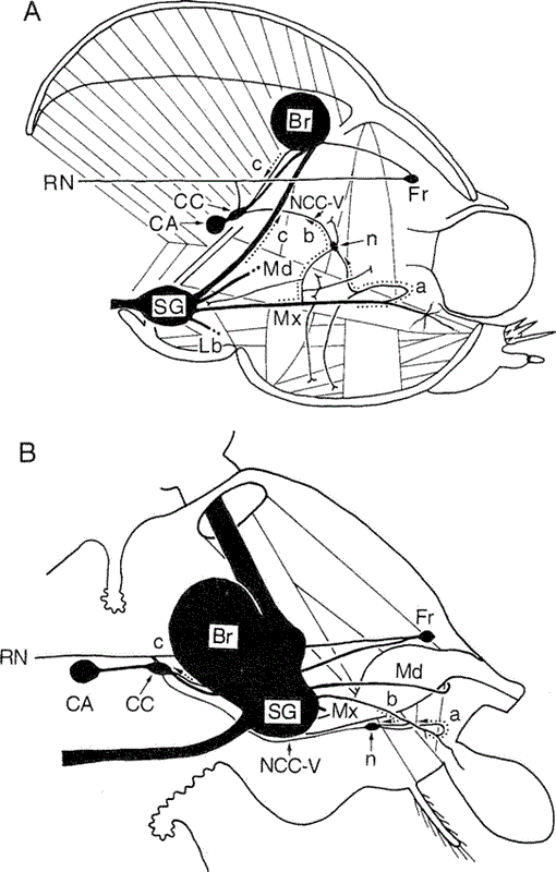 i0289-0003-12-6-703-f01.gif