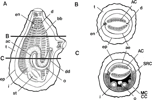 i0289-0003-12-6-733-f02.gif