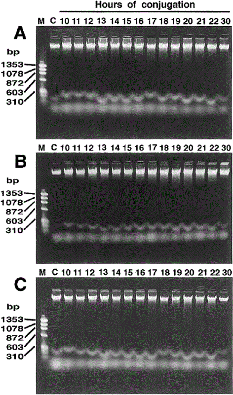 i0289-0003-15-6-849-f02.gif