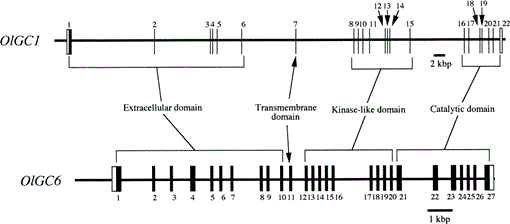 i0289-0003-17-2-131-f04.gif