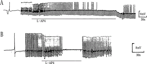 i0289-0003-19-2-153-f10.gif