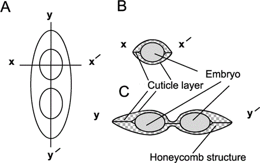 i0289-0003-21-10-1019-f02.gif