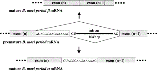 i0289-0003-21-9-903-f07.gif