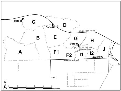 f03_91.jpg