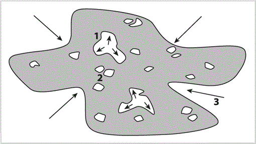 i0276-4741-27-2-162-f05.gif