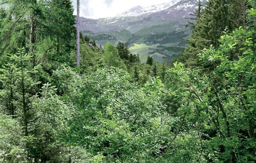 i0276-4741-27-2-124-f05.jpg