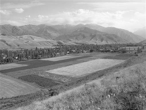 i0276-4741-32-3-304-f01.tif