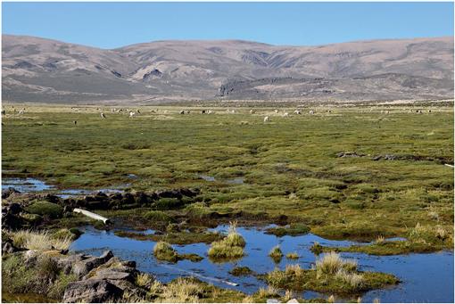 f01_401.jpg