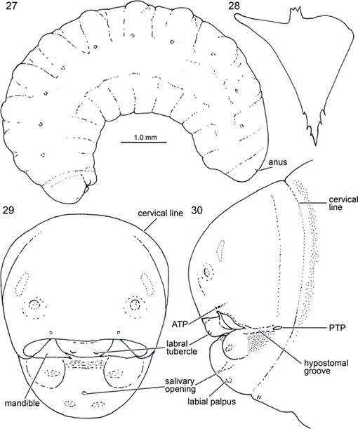 i0003-0082-3667-1-1-f27.gif