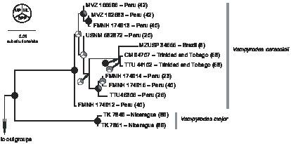 f04_01.eps