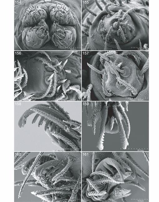 f154_01.jpg