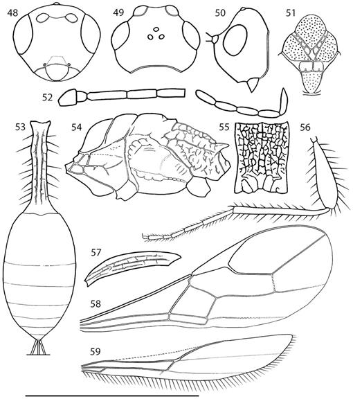 f48_01.jpg