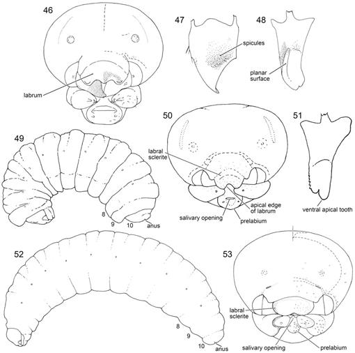 f46_01.jpg