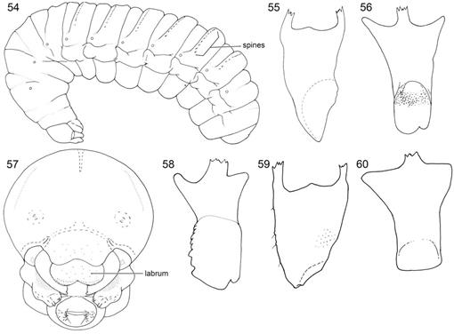 f54_01.jpg