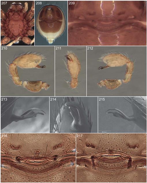 f207_01.jpg