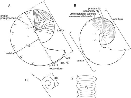 f04_01.jpg