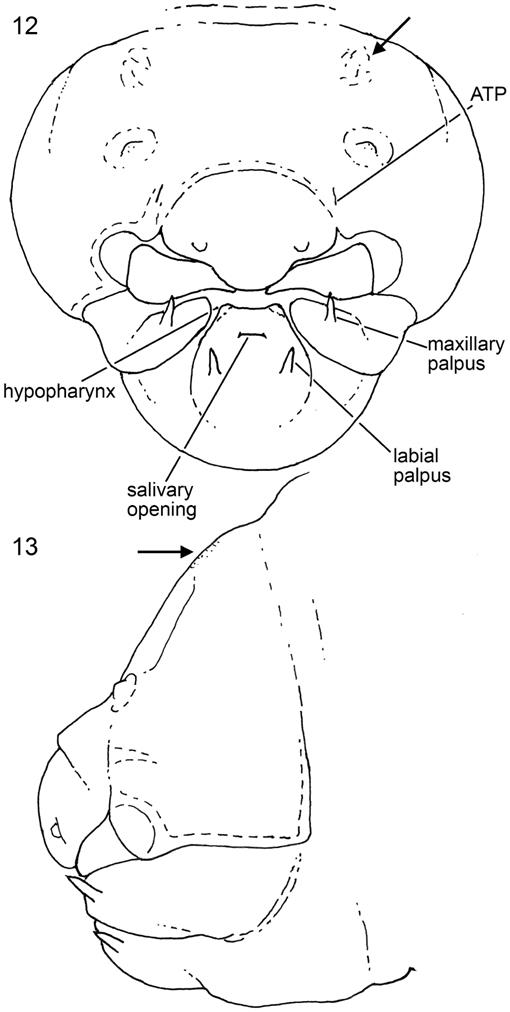 f12_01.jpg