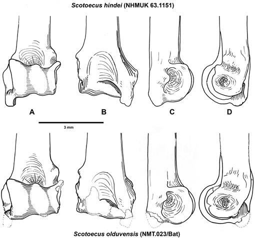 f07_01.jpg