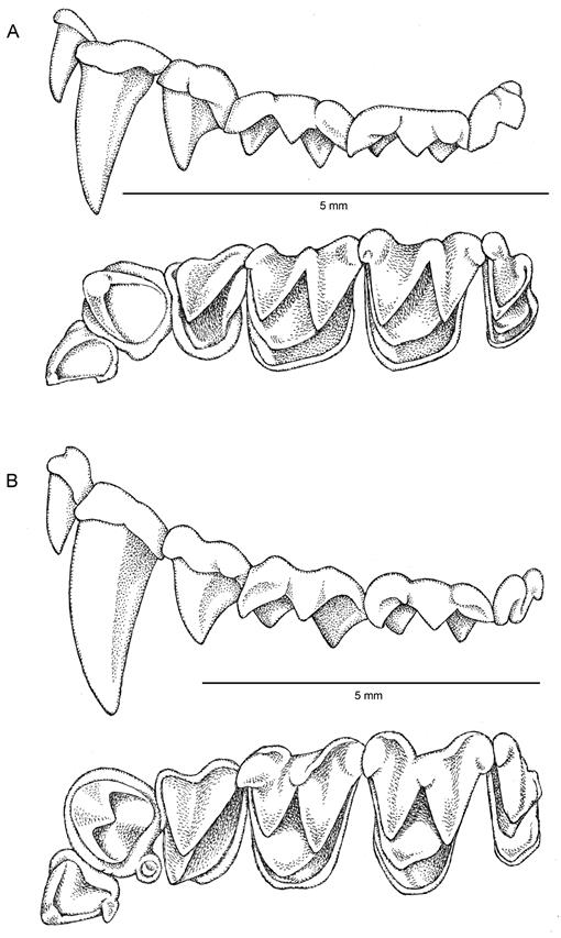 f04_01.jpg