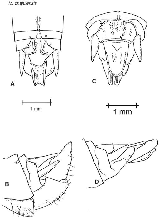 f03_91.jpg