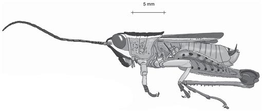 f10_281.jpg