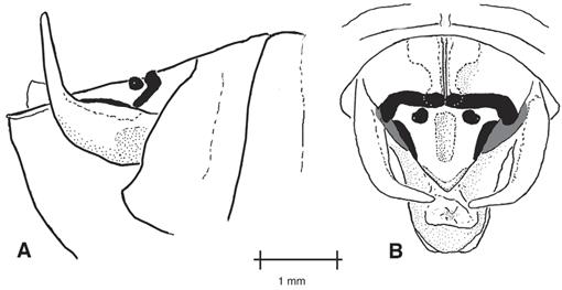 f11_281.jpg
