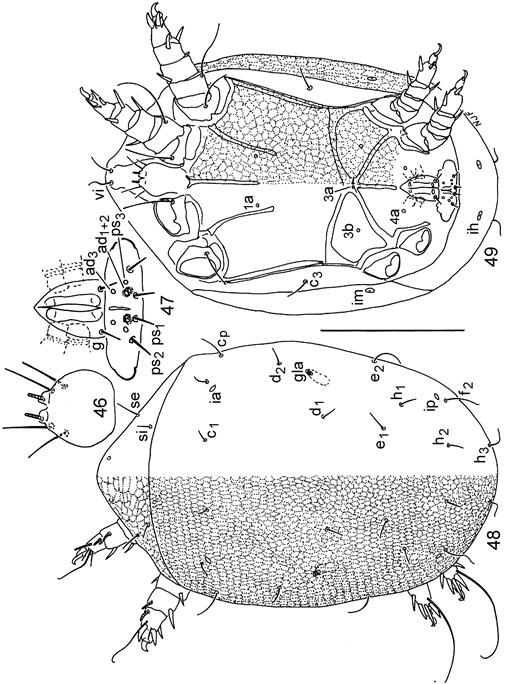 f46_03.jpg