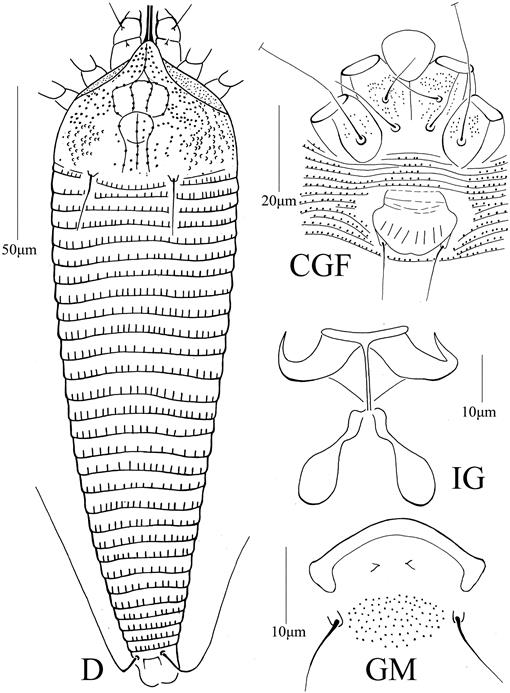 f05_507.jpg