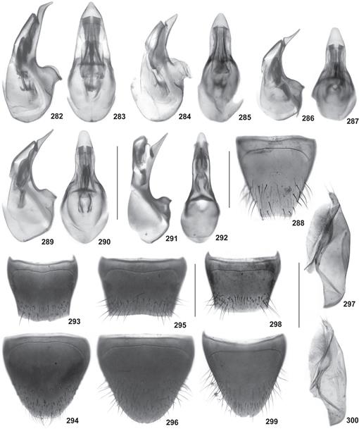 f282_87.jpg