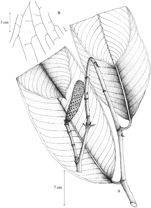 f29_925.jpg