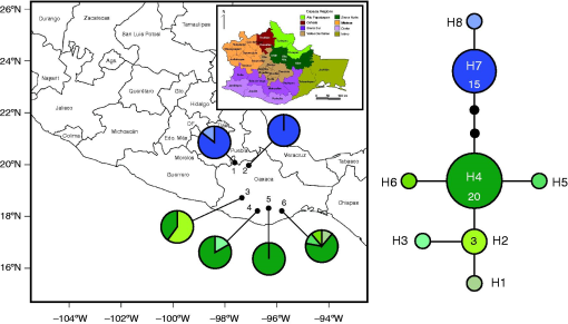 10.1177_1940082918755513-fig1.tif