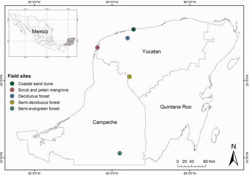 10.1177_1940082918781926-fig1.tif