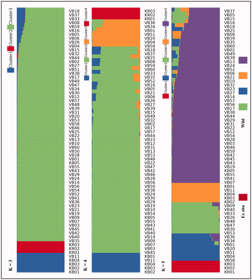 10.1177_1940082919849506-fig4.tif