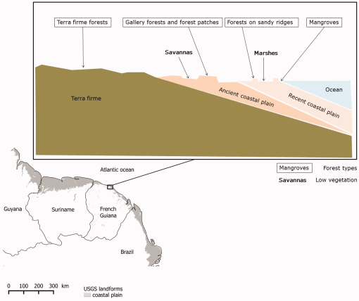 10.1177_1940082919900471-fig2.tif