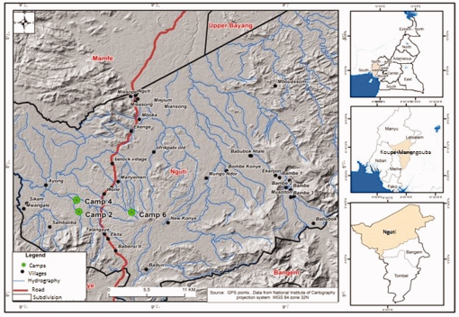 10.1177_1940082920906970-fig1.tif