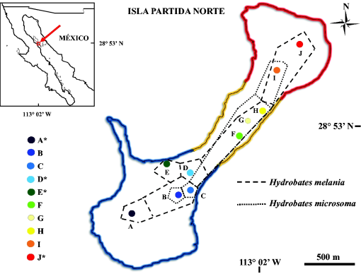 10.1177_1940082920949177-fig1.tif