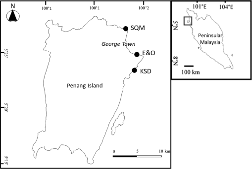 10.1177_1940082920951912-fig2.tif