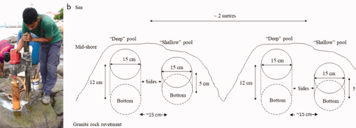 10.1177_1940082920951912-fig3.tif