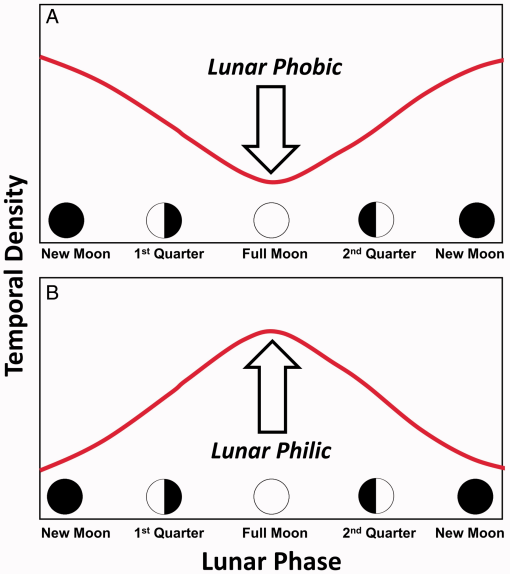 10.1177_1940082920952405-fig1.tif