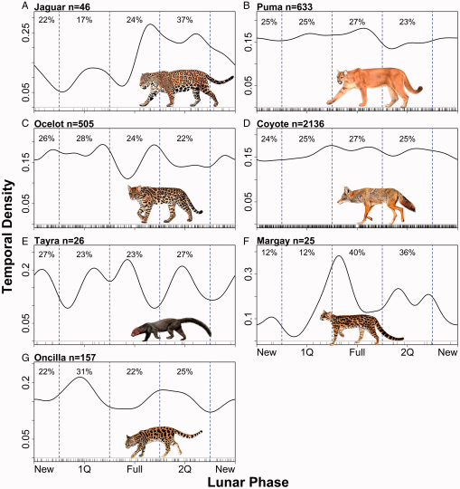 10.1177_1940082920952405-fig5.tif