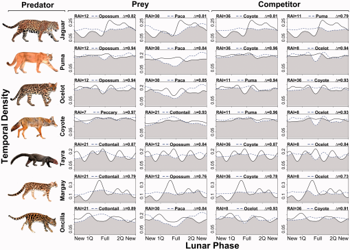 10.1177_1940082920952405-fig7.tif